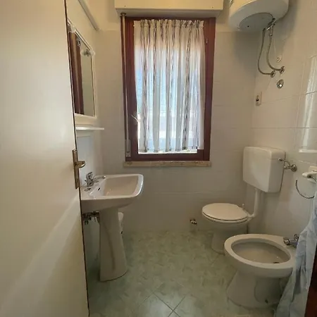 Stab - * ביביונה